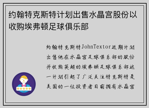 约翰特克斯特计划出售水晶宫股份以收购埃弗顿足球俱乐部
